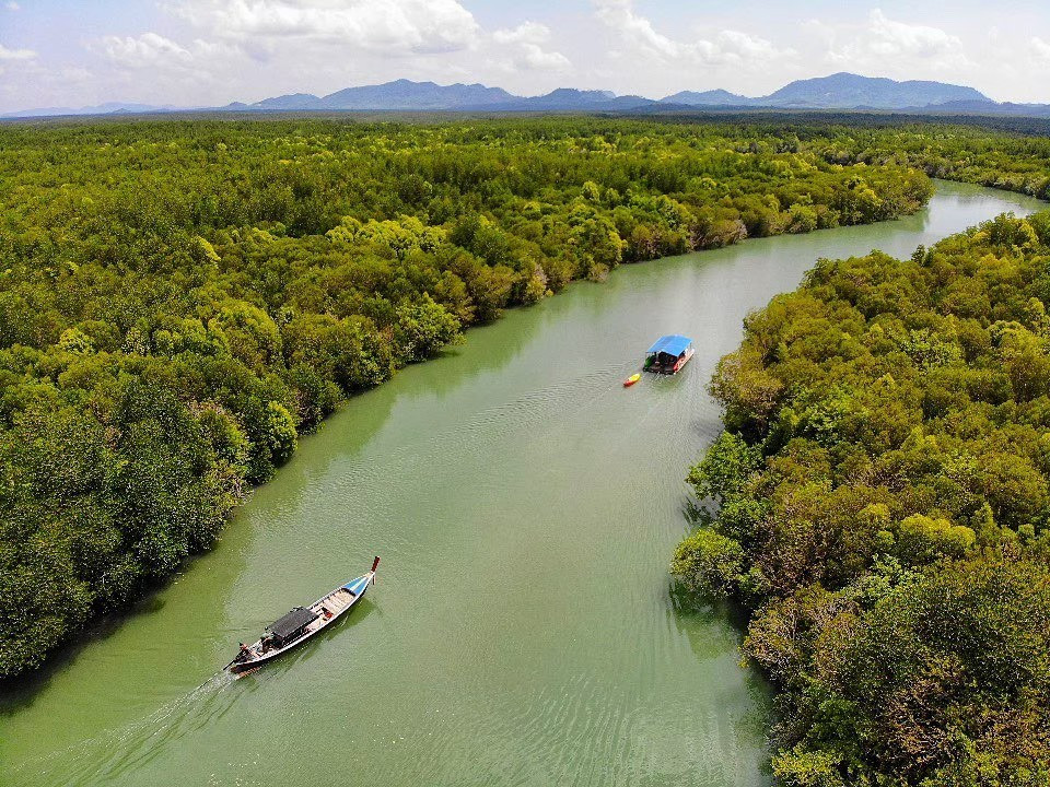 Mangrove Boat Trip by Lanta Kayaking