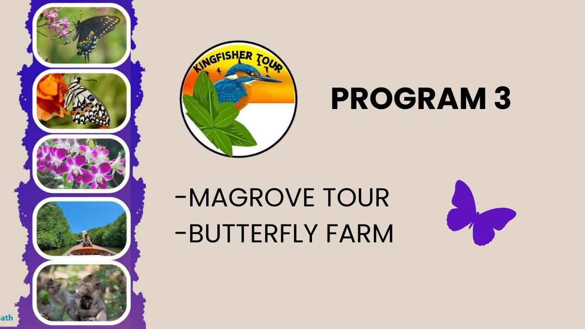 Mangrove Tour + BUTTERFLY Farm – Local Style Tour