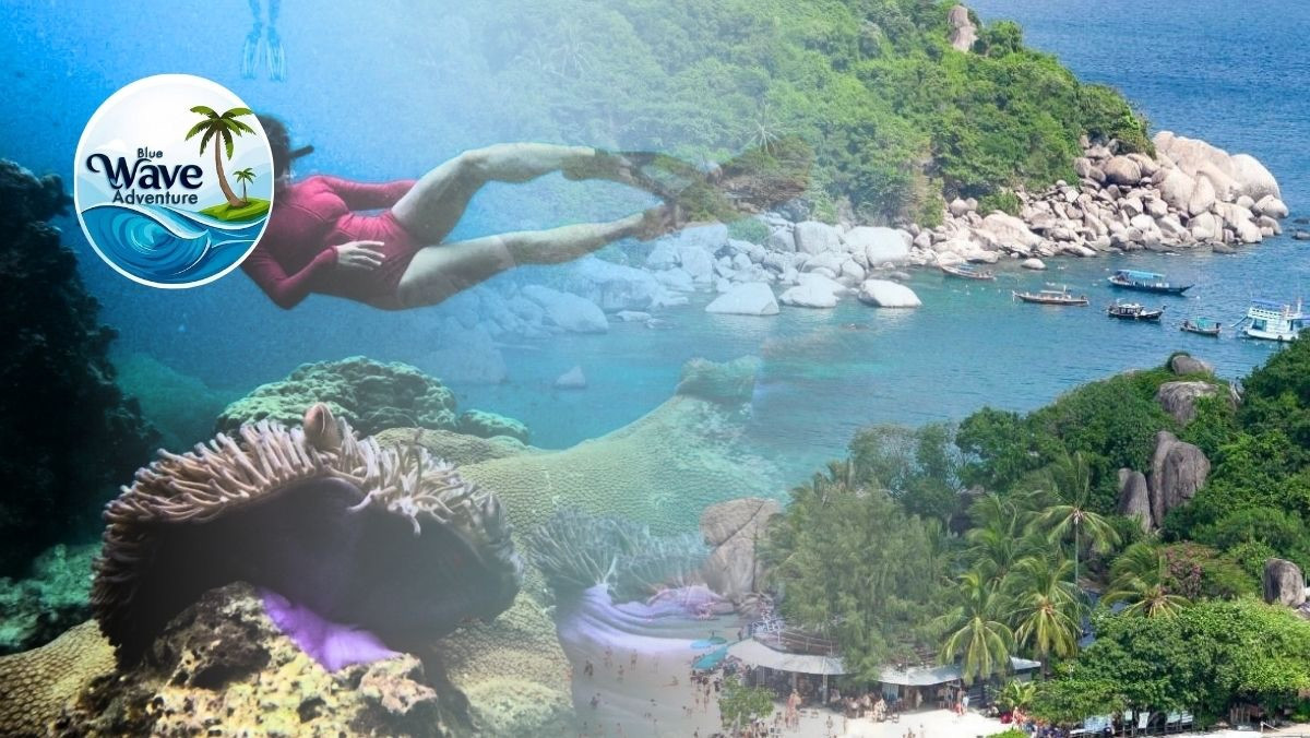 One Day Trip Around Koh Tao (Join Trip)