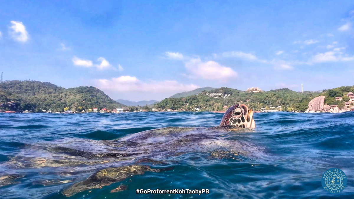 GoPro, DJI, Instax FOR RENT - Photo 6