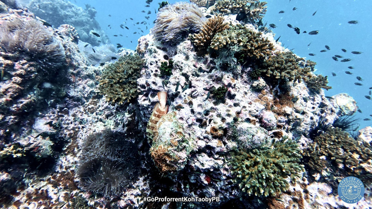 GoPro, DJI, Instax FOR RENT - Photo 5