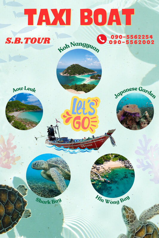 Private Snorkeling Trip – 5 Spots Around Koh Tao - Photo 1