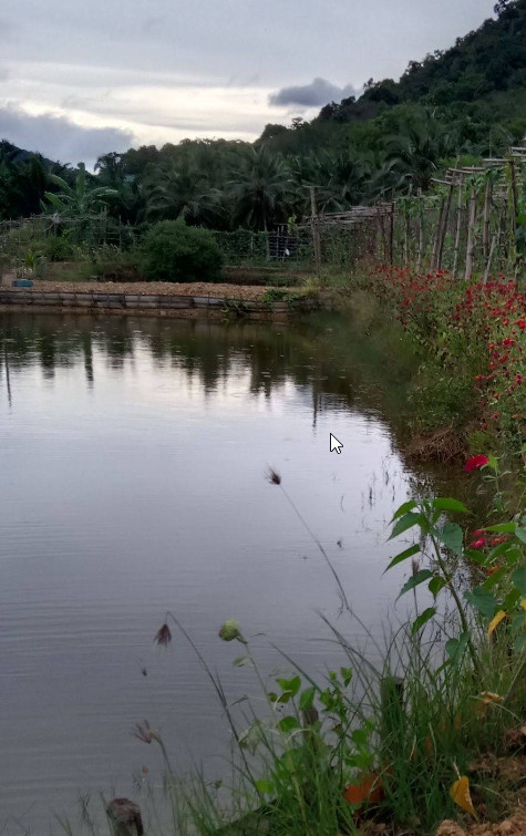 FamilyFarm – Fresh Air & Nature - Photo 1