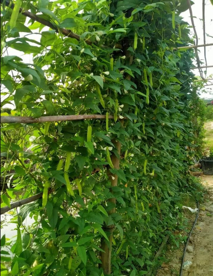 FamilyFarm – Fresh Air & Nature - Photo 5