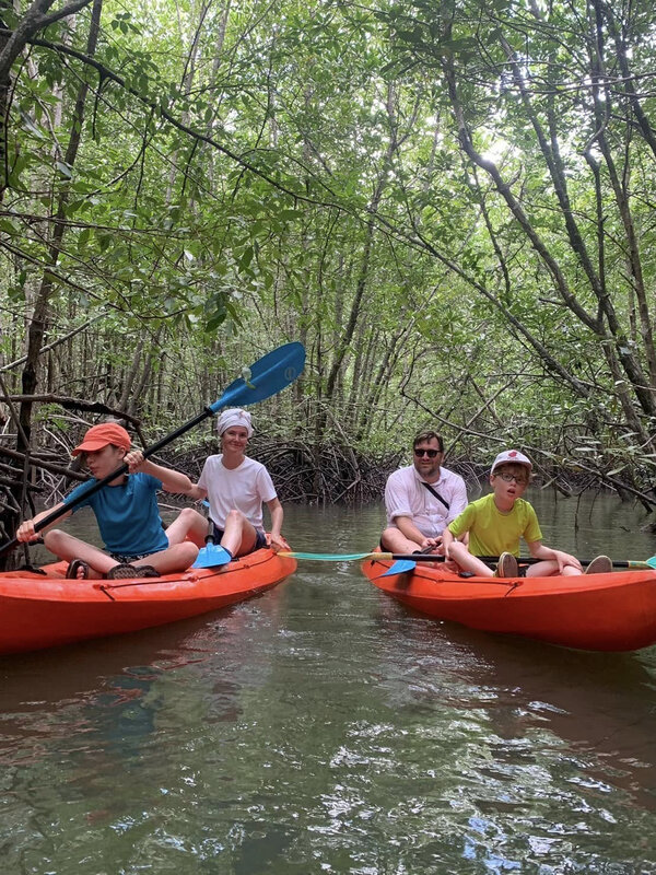 Mangrove Tour (Half-day) - Photo 1
