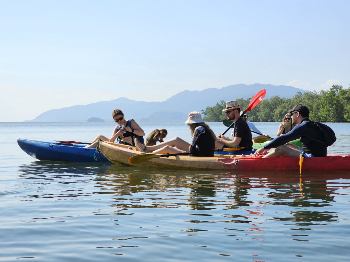 Mangrove Tour (Half-day) - Photo 2