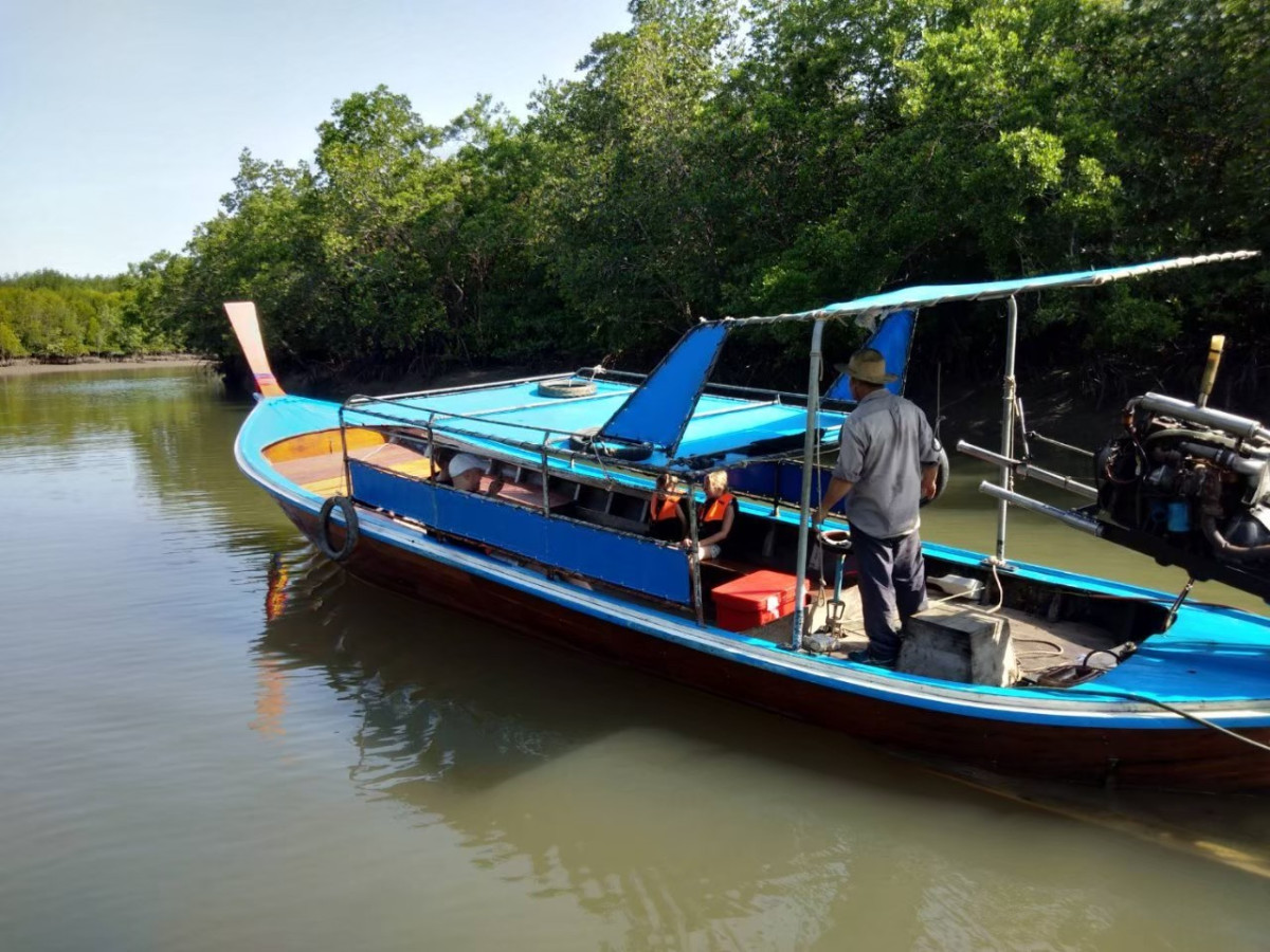 Mangrove Boat Trip by Lanta Kayaking - Photo 3
