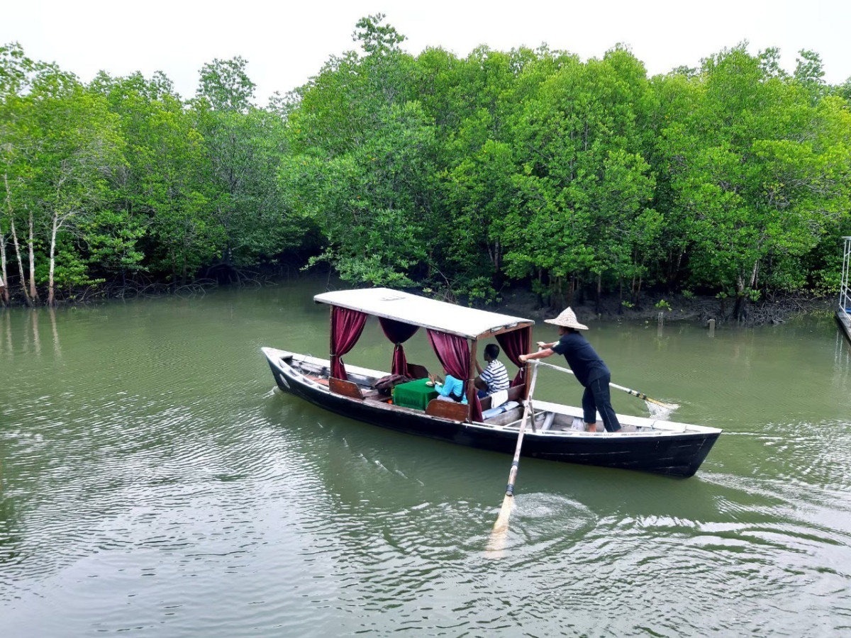 Mangrove Boat Trip by Lanta Kayaking - Photo 4