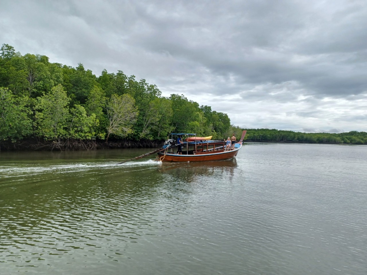 Mangrove Boat Trip by Lanta Kayaking - Photo 5