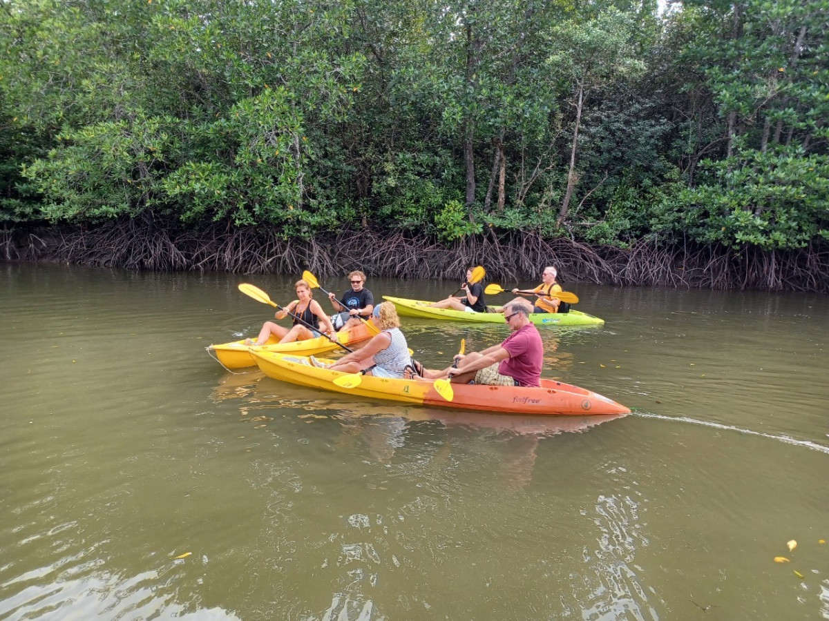 Mangrove Kayaking by Lanta Kayaking - Photo 1