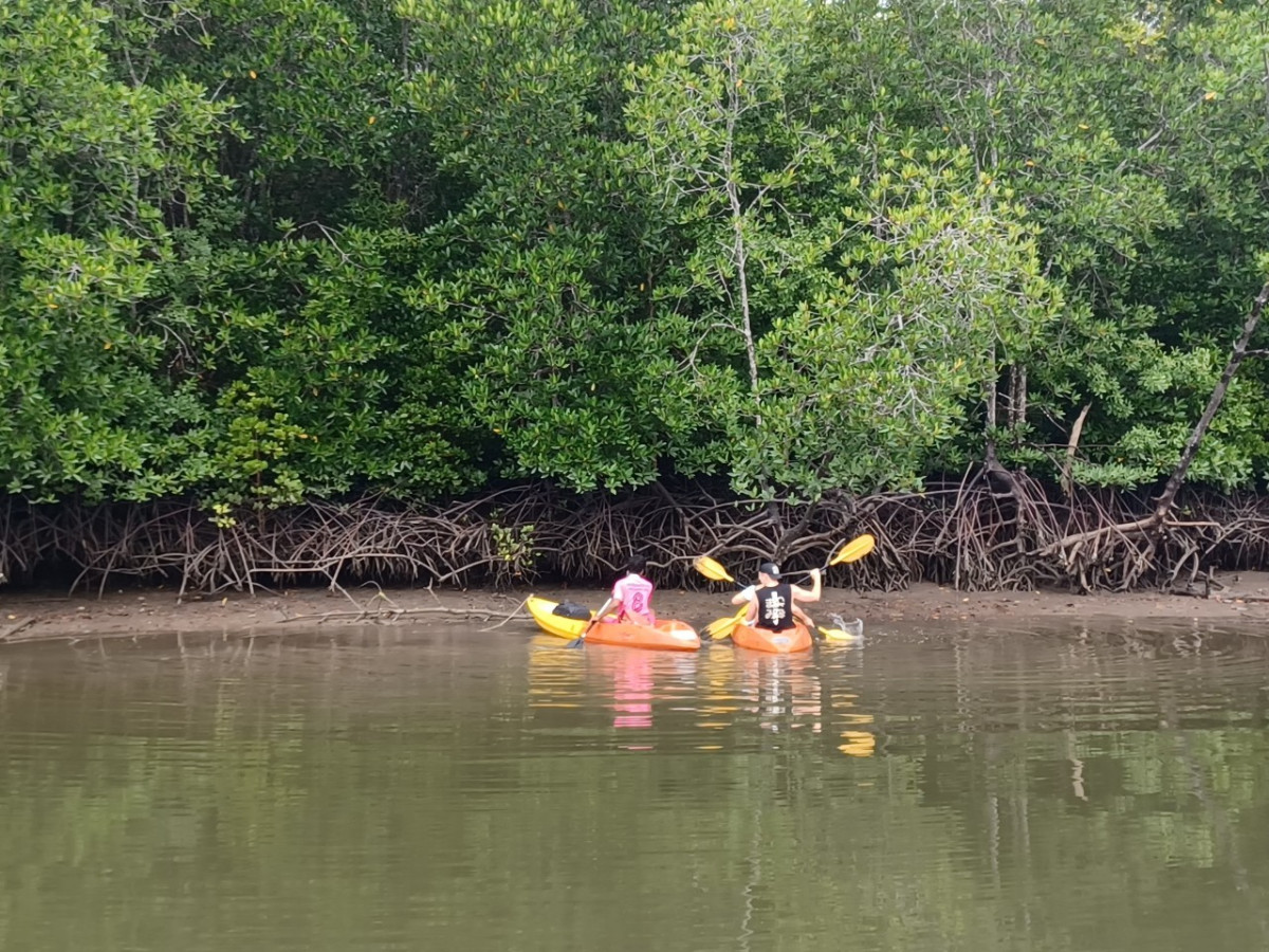 Mangrove Kayaking by Lanta Kayaking - Photo 2