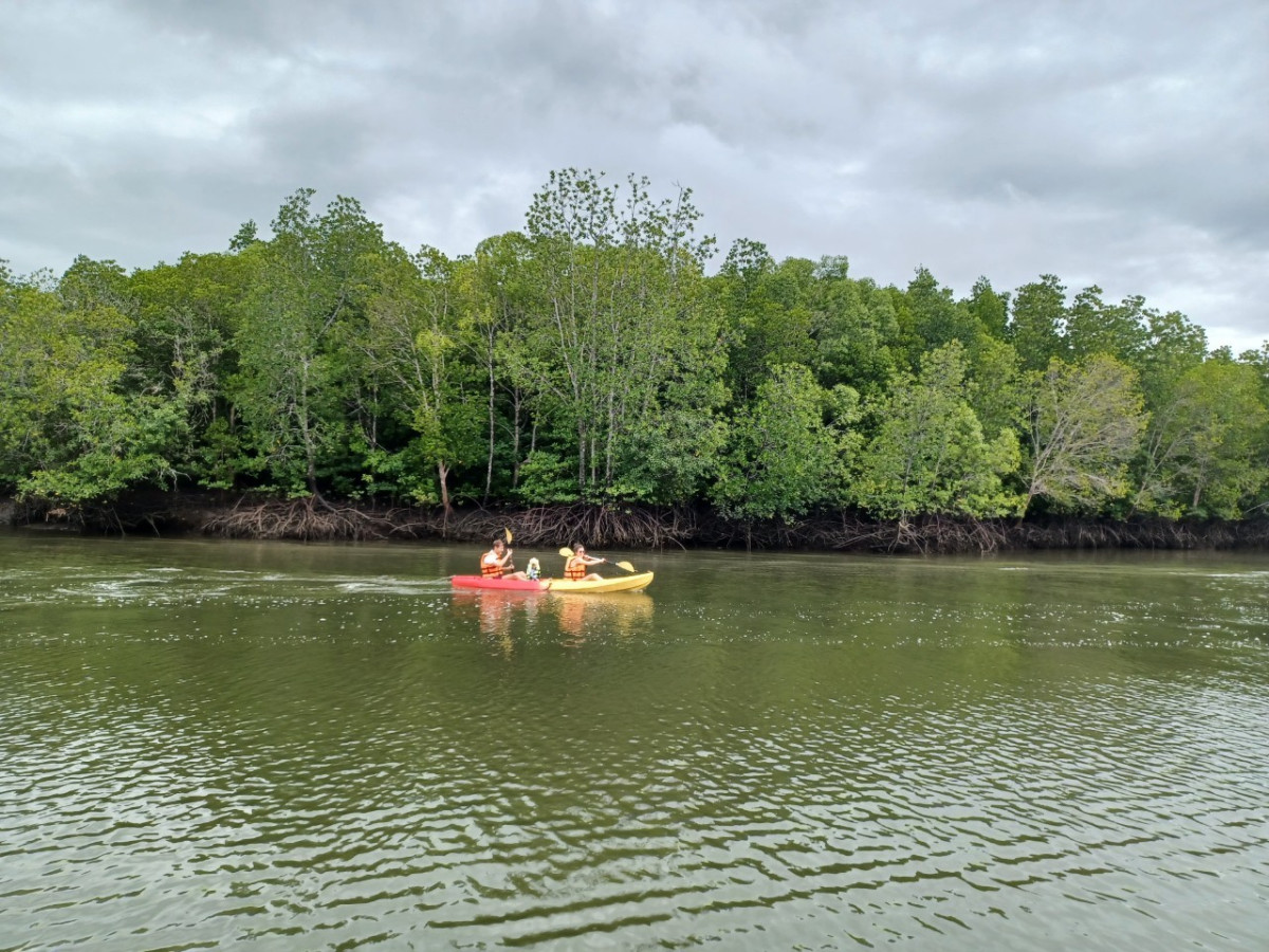 Mangrove Kayaking by Lanta Kayaking - Photo 3