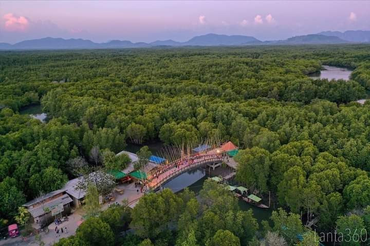 Mangrove Boat Trip & Old Town by Lanta kayaking - Photo 2