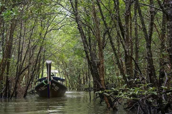 Mangrove Boat Trip & Old Town by Lanta kayaking - Photo 6