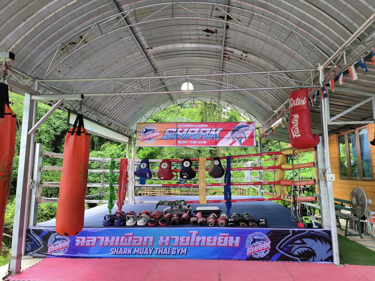 Private session – Shark Muay Thai Gym - Photo 4