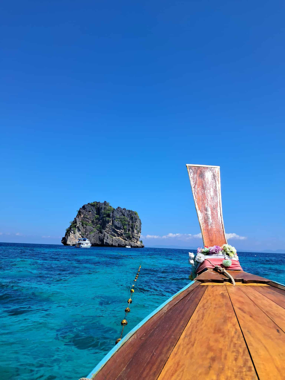 Private longtail 4 ISLAND TRIP (Kradan) – Al-Danish - Photo 5