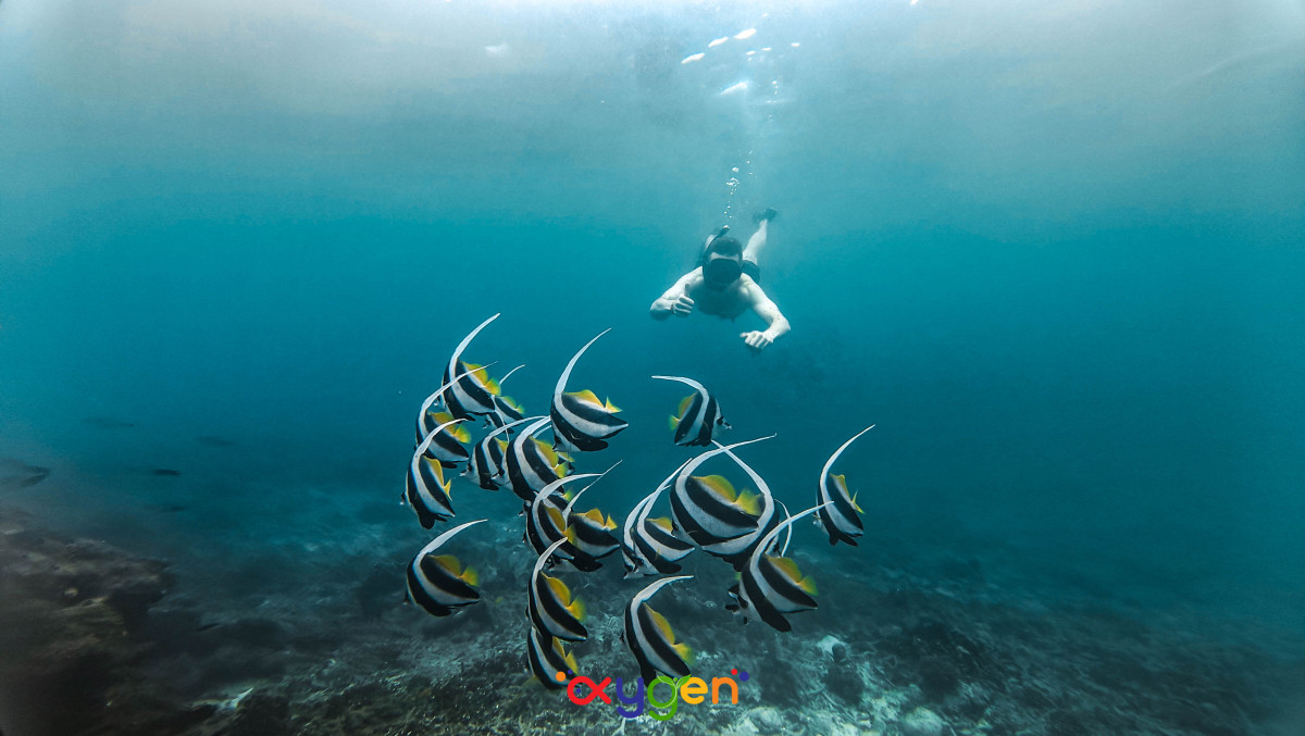 Regular – Afternoon Trip – Oxygen Tour - Photo 6