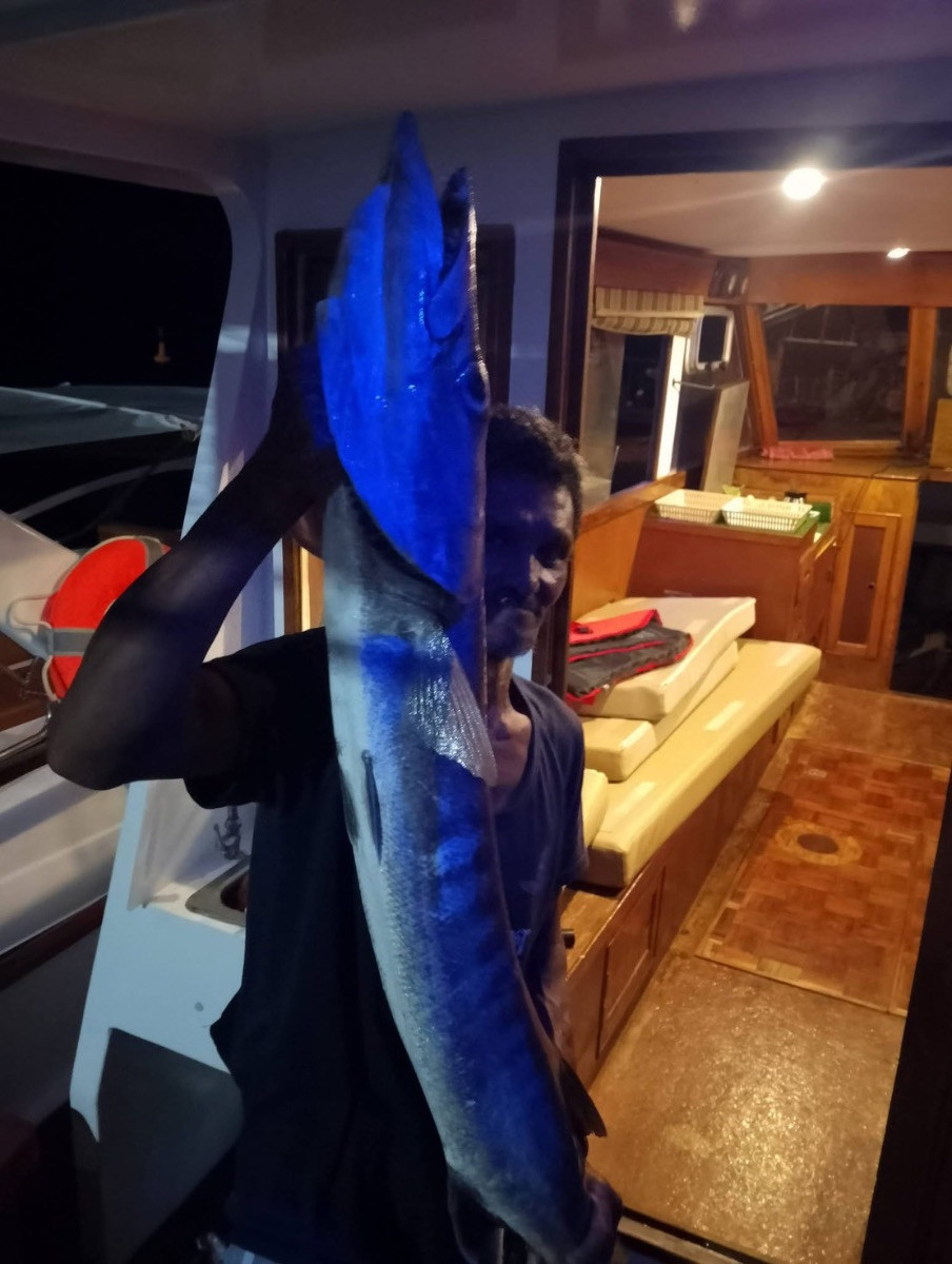 Snorkelling & Fishing Tour – Full Day - Photo 3