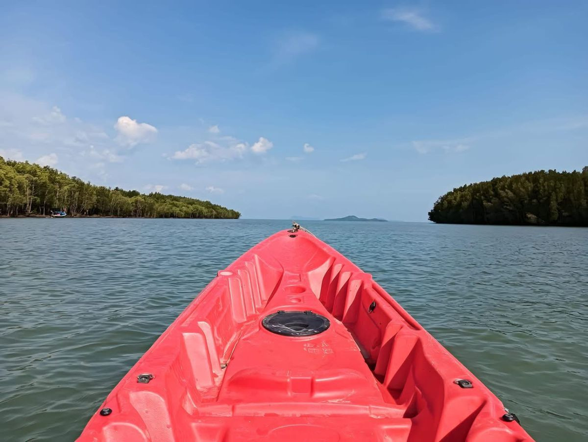 Mangrove Kayaking or Longtail + FRESH COFFE – Local Style Tour - Photo 4