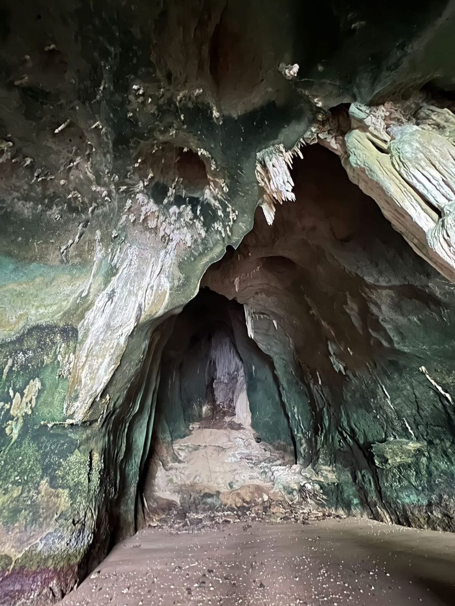 Mangrove Kayaking or Longtail + FRESH COFFE – Local Style Tour - Photo 5