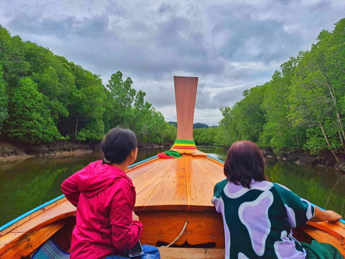 Mangrove Tour + BUTTERFLY Farm – Local Style Tour - Photo 4
