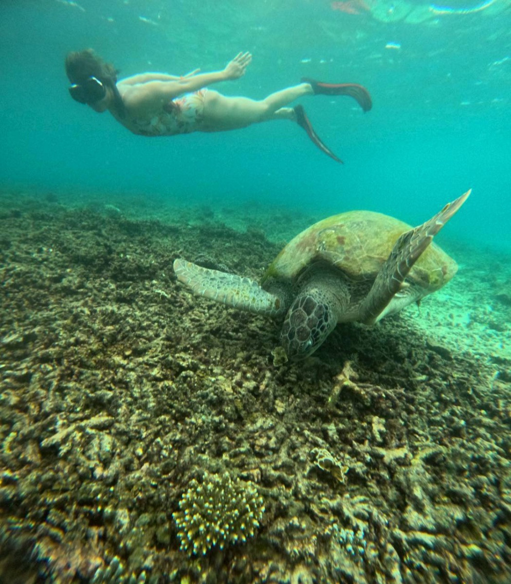 One Day Trip Around Koh Tao (Join Trip) - Photo 4