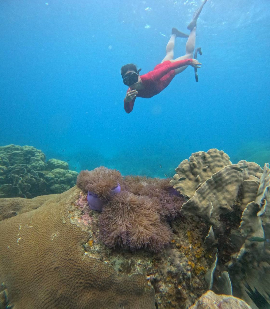 One Day Trip Around Koh Tao (Join Trip) - Photo 6